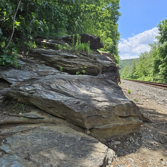 Meet your Posher, Dominique - Picture 1 of 1